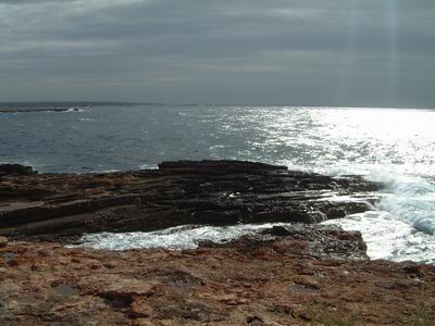 DSCF0105.JPG